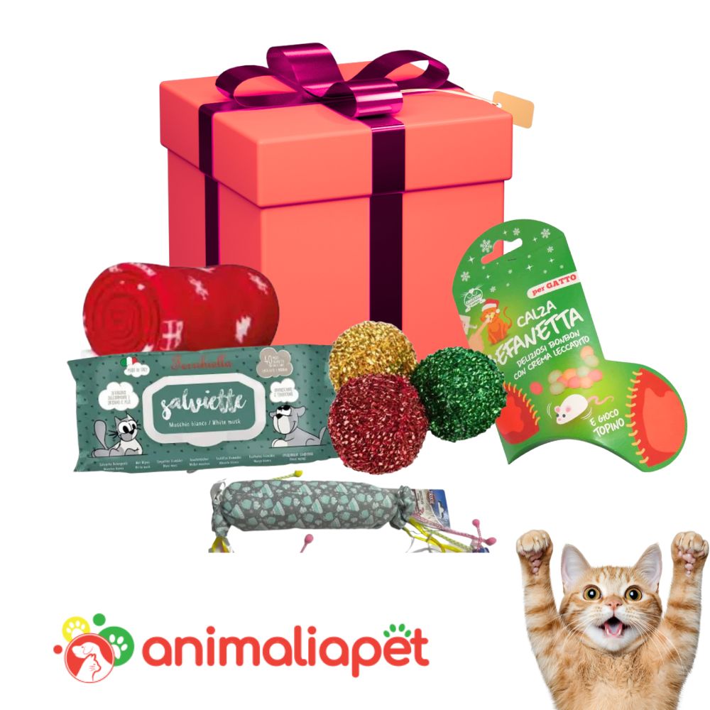 Box Natalizia Regalo per Gatti