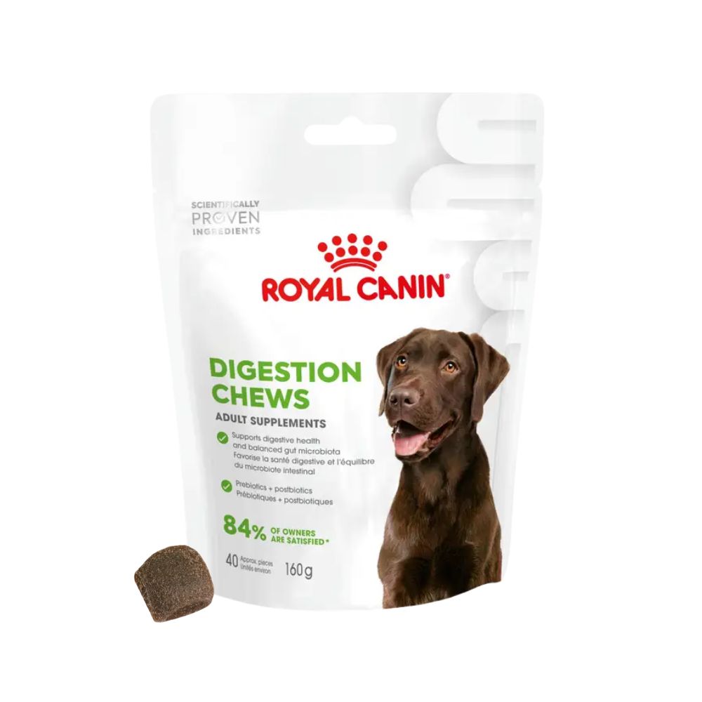 Royal Canin Digestion Supplement 160g Snack Cani