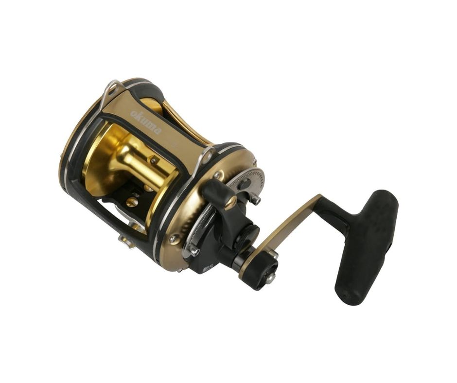 Okuma Solterra SLR-20 Mulinello da Pesca - Animaliapet