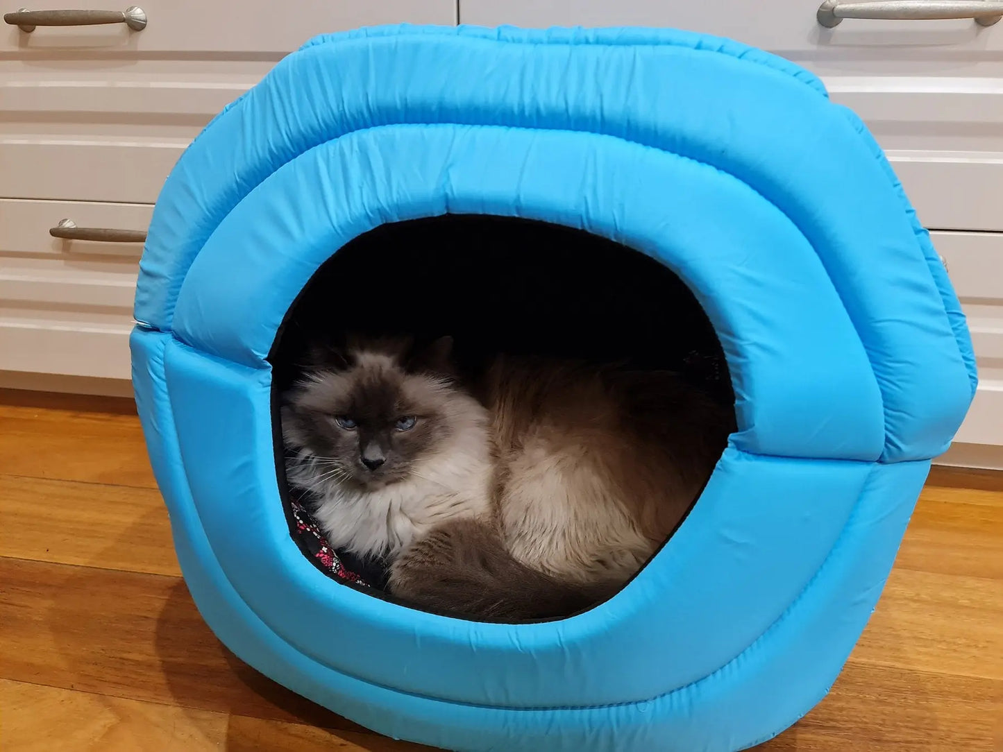 AiryVest Pet House Cuccia Multiuso 2in1 Tg. M Blue per Cani e Gatti - Animaliapet