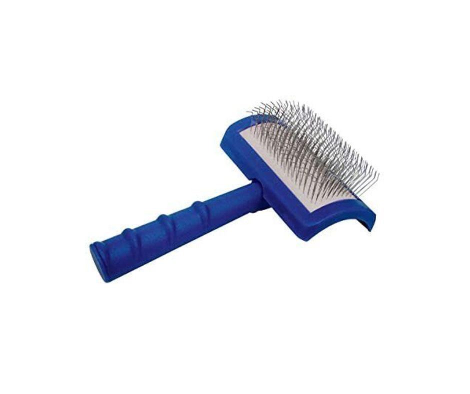 CesarPet Spazzola Soft Medium S/T per Cani e Cuccioli