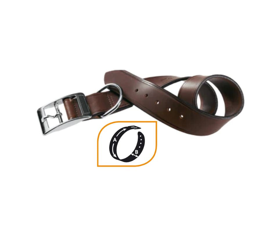 Ferplast VIP C 25/53 Collare Marrone in cuoio per Cani - Animaliapet