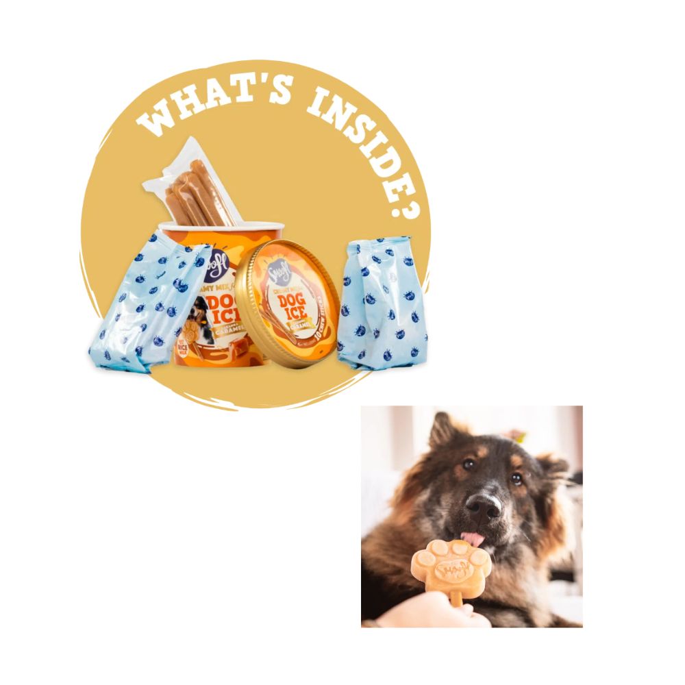 Smoofl Dog Ice Cream Caramel Miscela per Gelato Cani Gusto Caramello Snack Cani