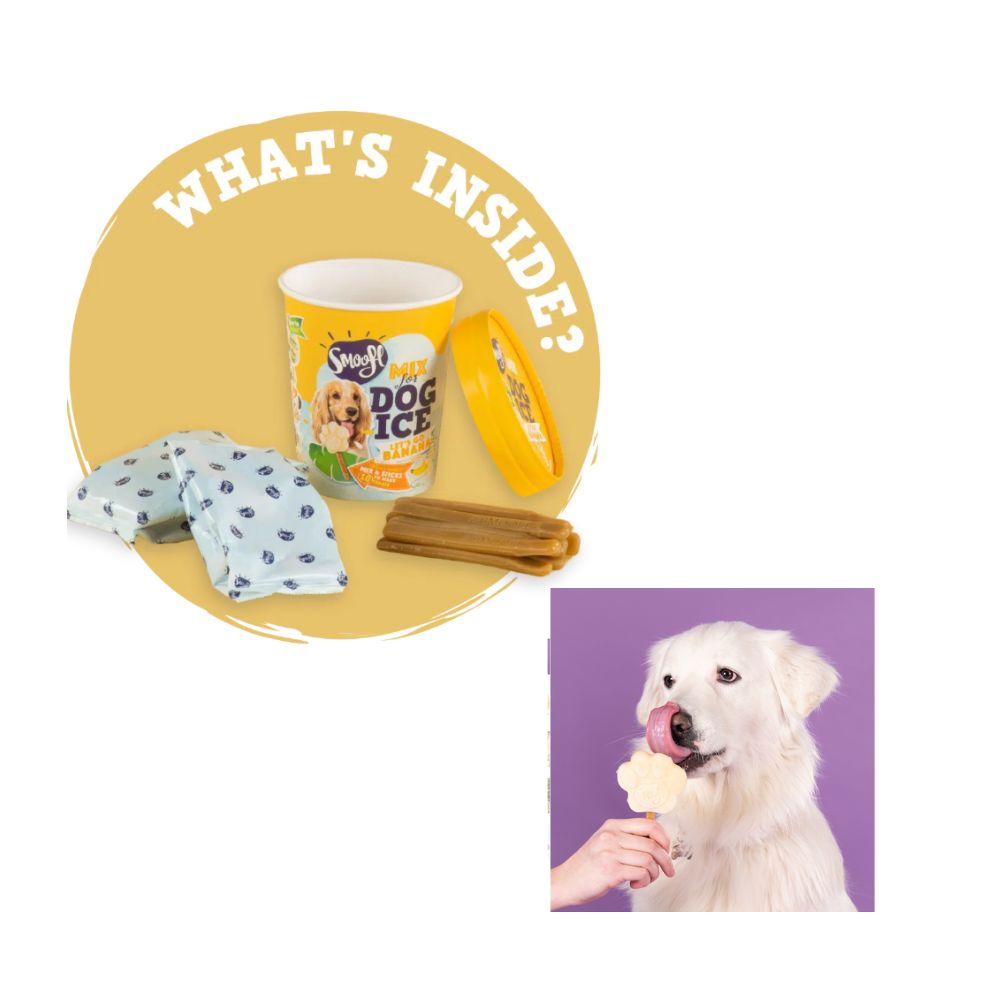 Smoofl Dog Ice Banana Miscela per Gelato Cani Gusto Banana Snack Cani
