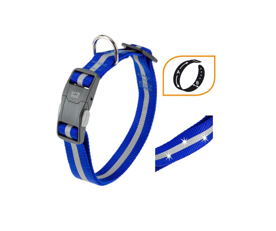 Ferplast Club Reflex Collare Blu C20/56 per Cani - Animaliapet
