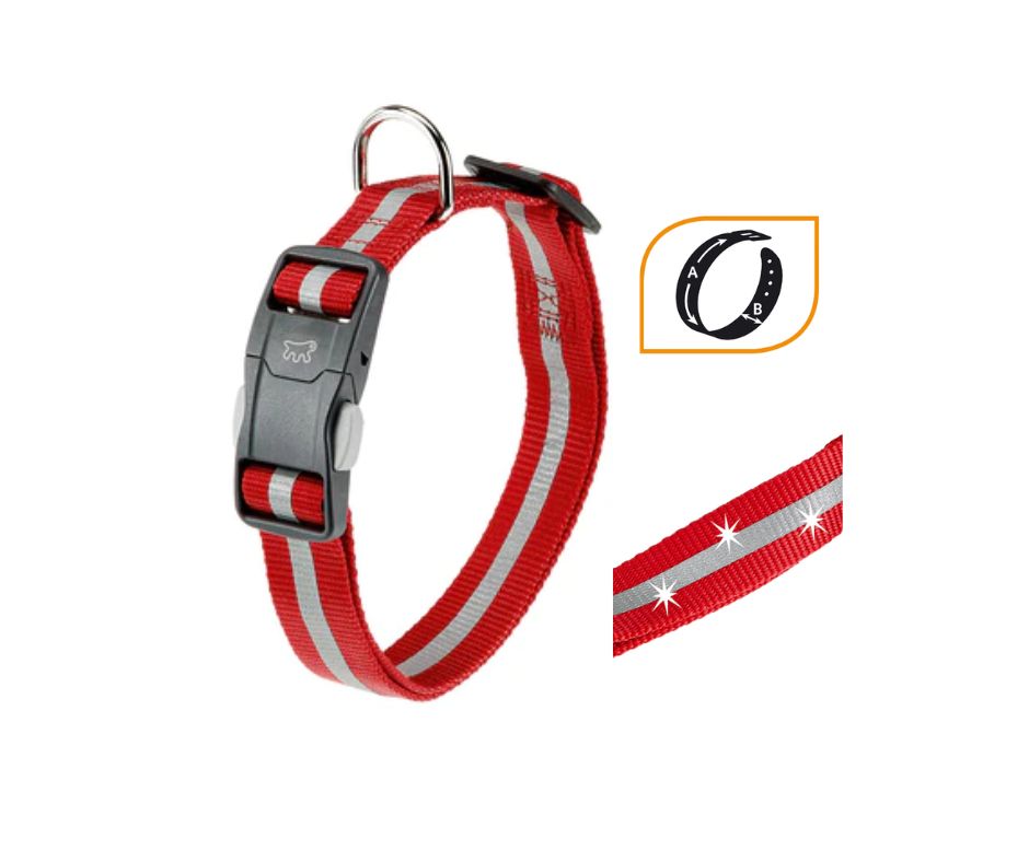 Ferplast Club Reflex Collare Rosso C15/44 per Cani - Animaliapet