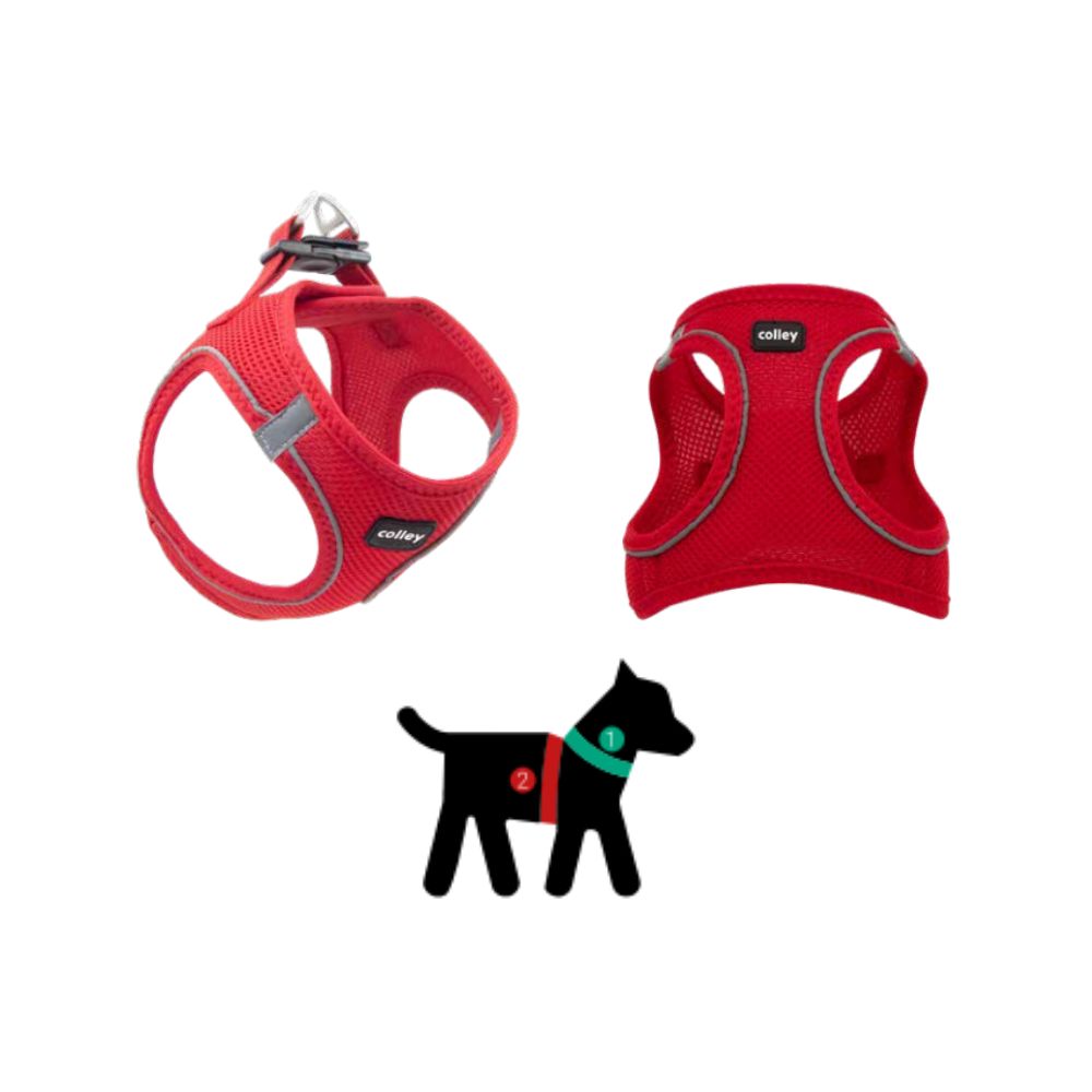 Colley Pettorina in Rete Rossa Mis. 2XS Cani