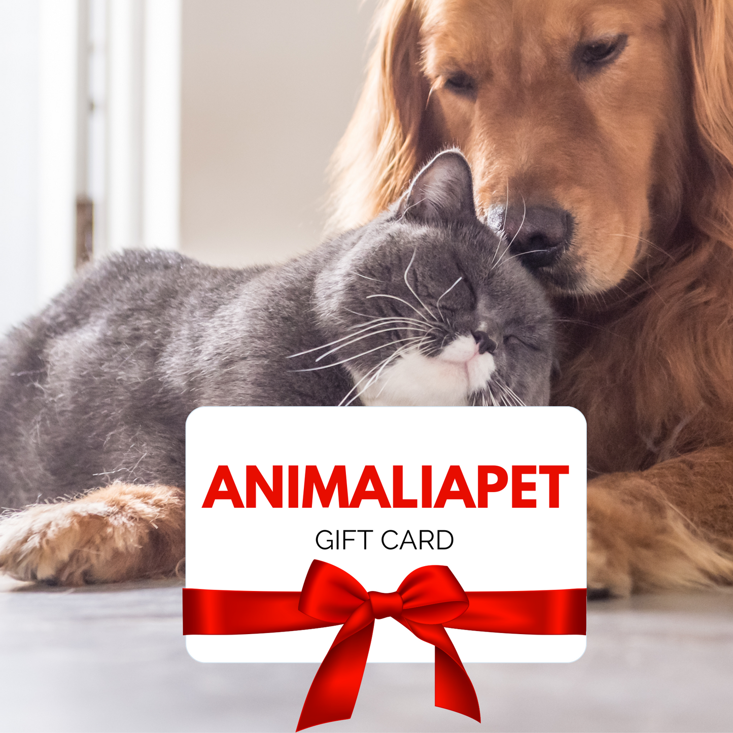 Gift Card Animaliapet