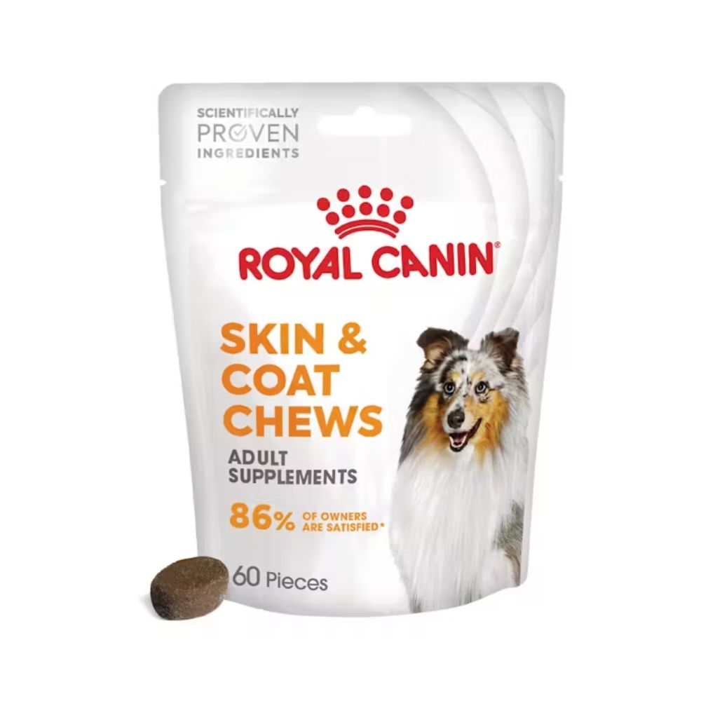 Royal Canin Skin & Coat Supplement 240g Snack Cani