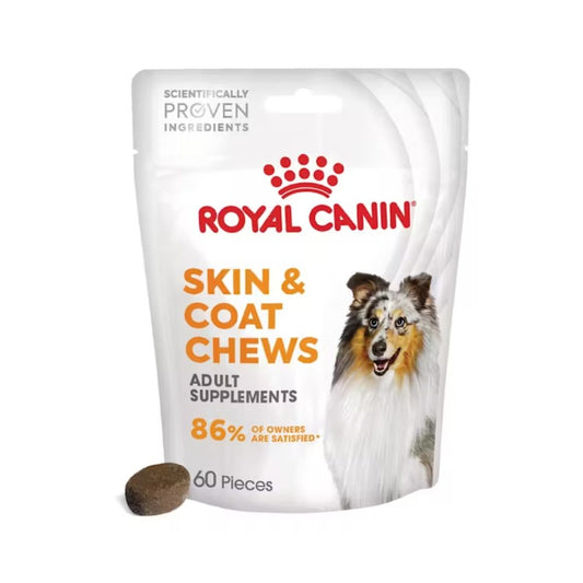 Royal Canin Skin & Coat Supplement 240g Snack Cani