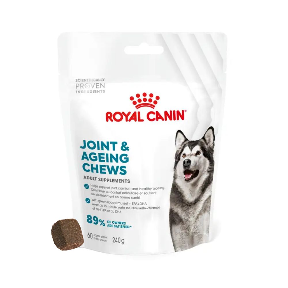 Royal Canin Joint & Ageing Supplement 240g Snack Cani