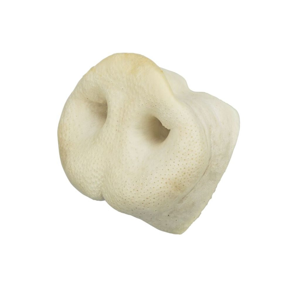 Trixie Musetto di Maiale Snack per Cani 1pz articolo sfuso