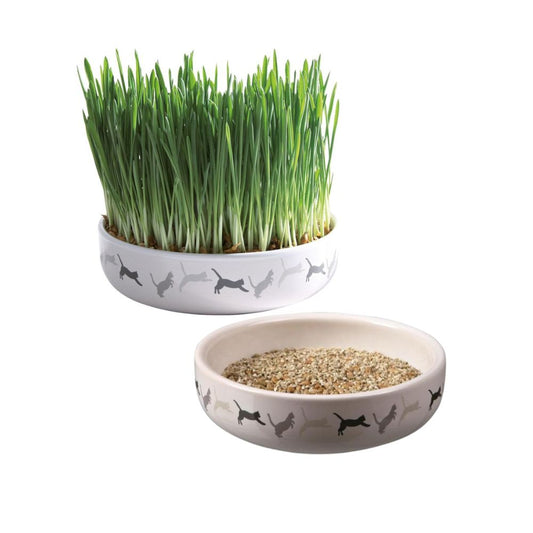 Trixie Ciotola In Ceramica con Erba Gatta ø 15 cm per Gatti e Gattini