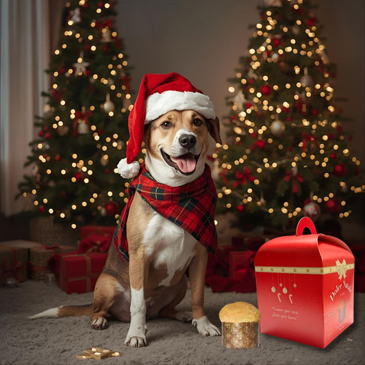 Delìpet – Panettone per Cani “Dolce Natale” 80g
