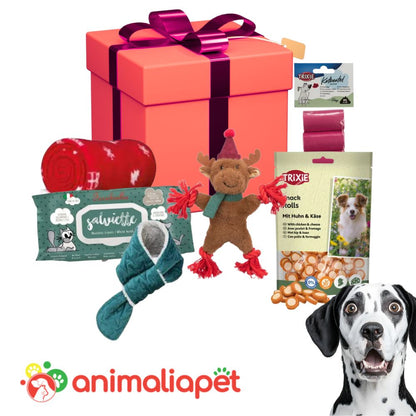 Box Natalizia Regalo per Cani