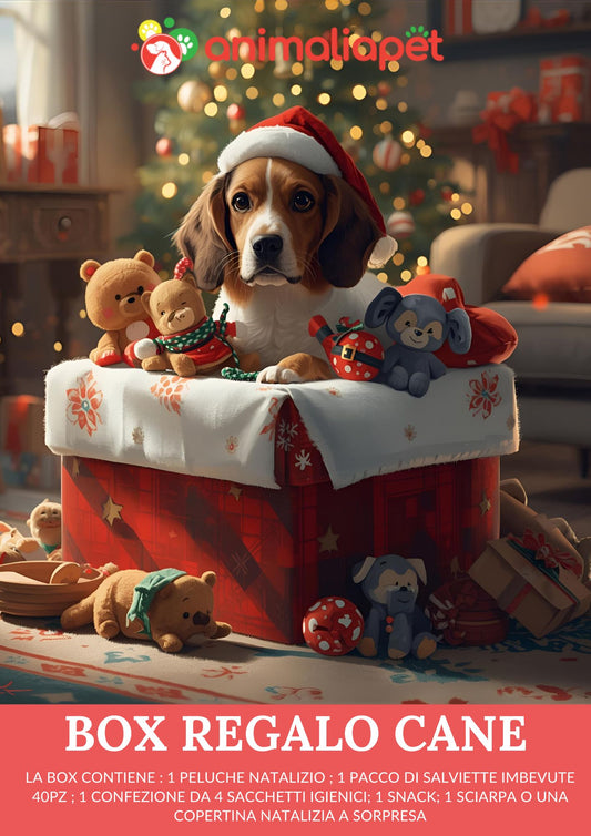 Box Natalizia Regalo per Cani
