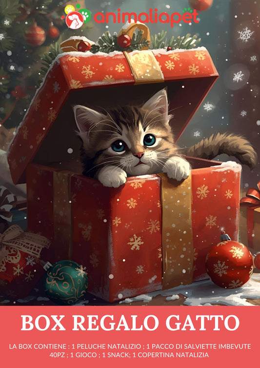 Box Natalizia Regalo per Gatti
