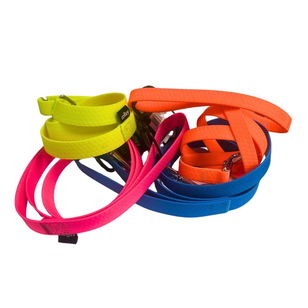 Colley Guinzaglio Impermeabile in silicone Arancio 20mm/120cm per Cani