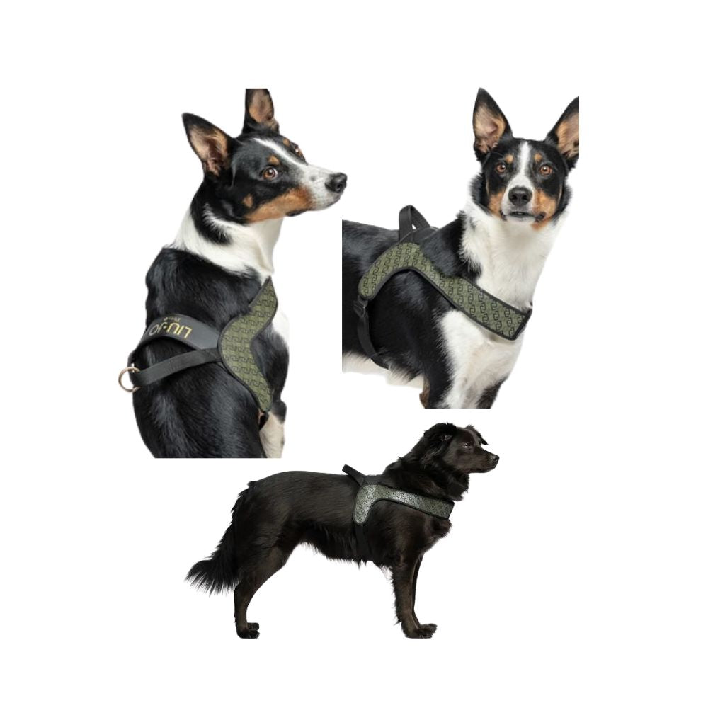 Liu Jo Pettorina Big Monogram Military Street per Cani TG.3 per Cani