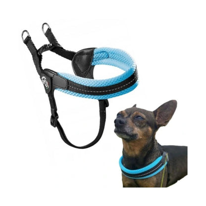 Tre Ponti Pettorina Easy Fit Rete Azzurro Pastello Mis. 3,5 Cani e Cuccioli
