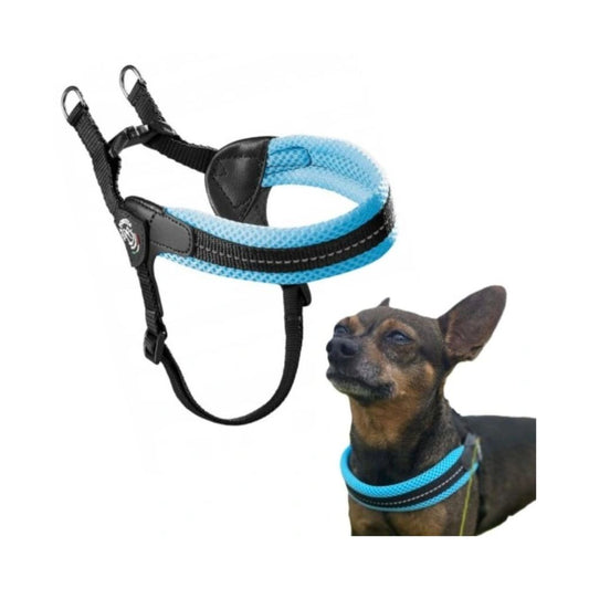 Tre Ponti Pettorina Easy Fit Rete Azzurro Pastello Mis. 2,5 Cani e Cuccioli