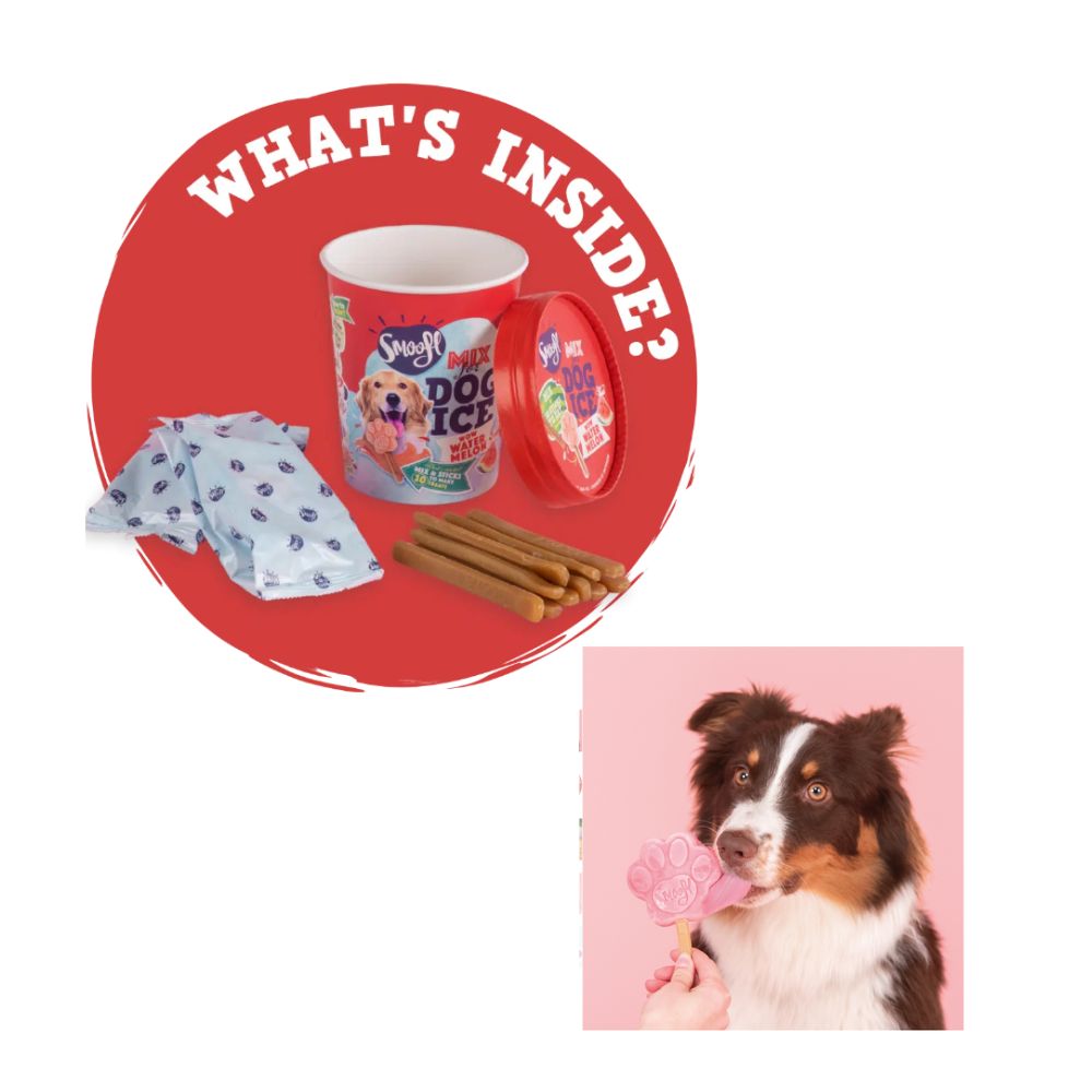 Smoofl Dog Ice Water Melon Miscela per Gelato Cani Gusto Anguria Snack Cani