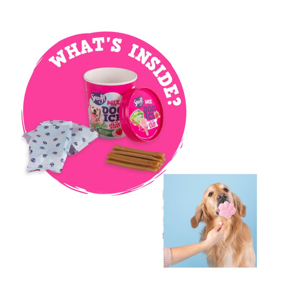 Smoofl Dog Ice Strawberry Miscela per Gelato Cani Gusto Fragola Snack Cani